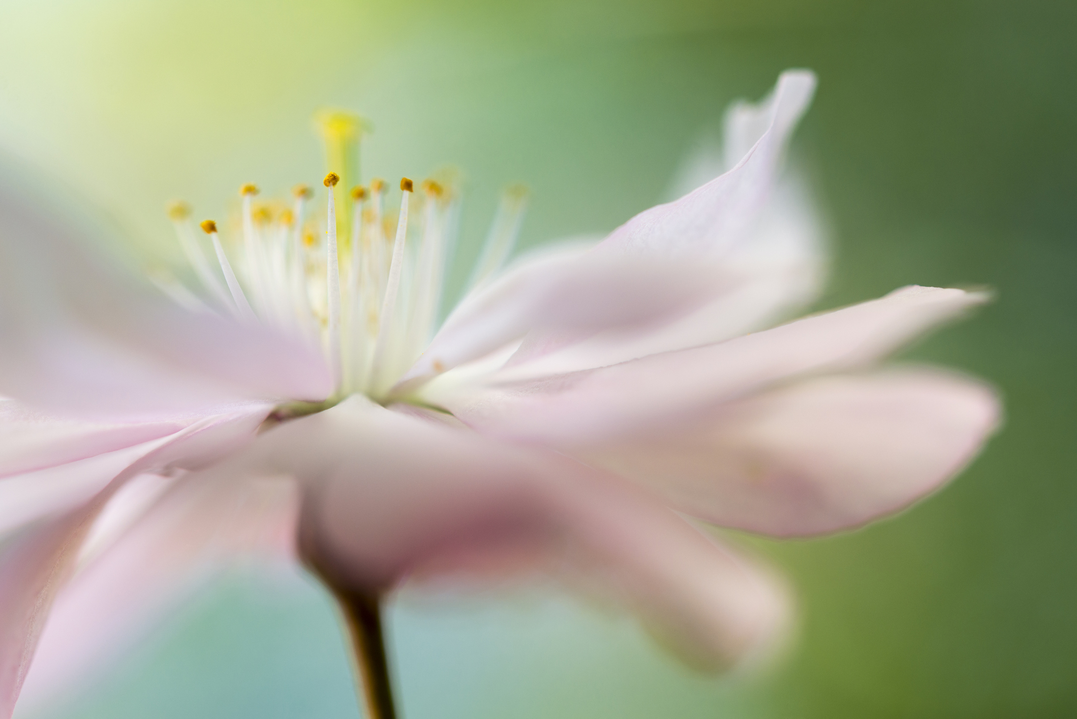 Grounding Techniques - Palm Beach Therapy & Counseling
