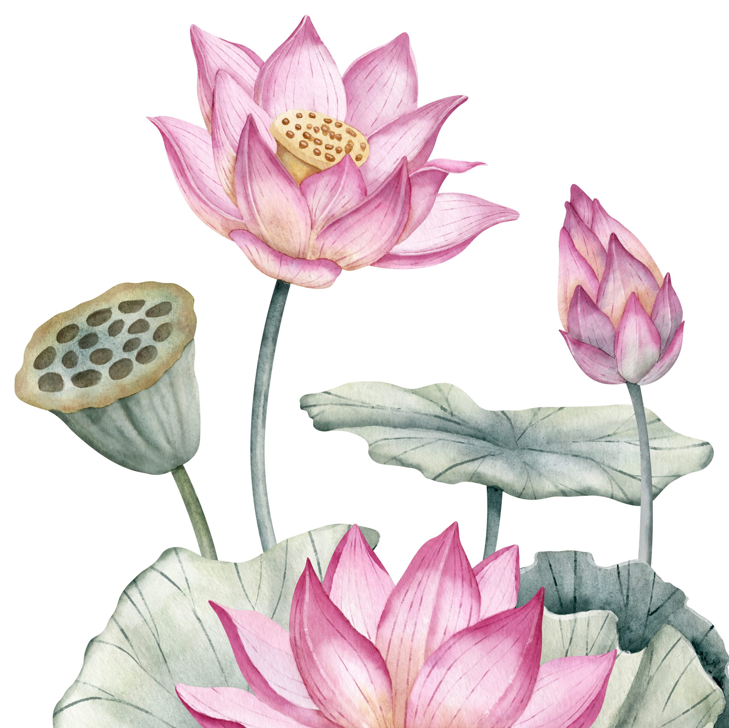 EMDR therapy Parent Coaching