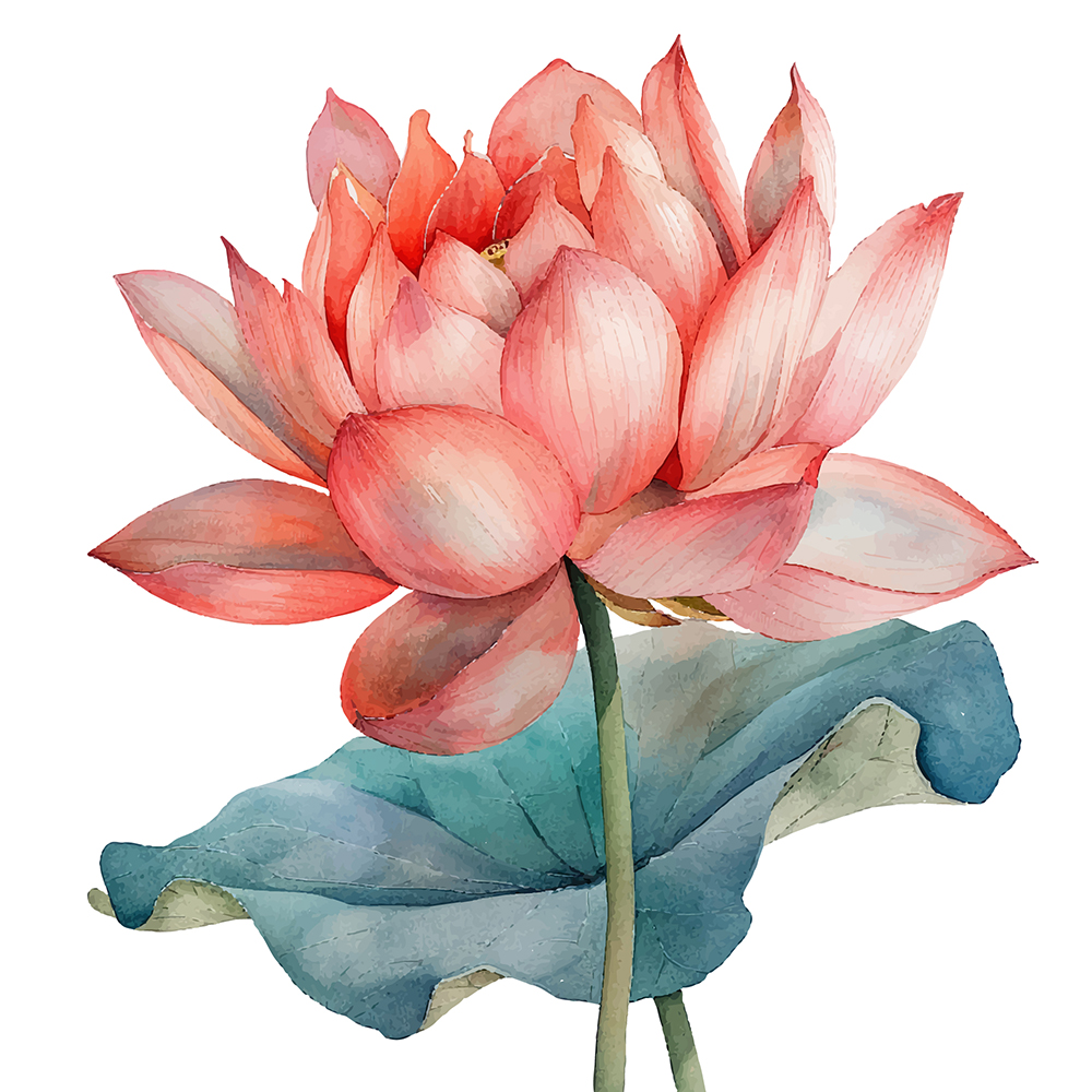 EMDR therapy Relationship Therapy