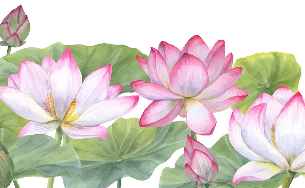 EMDR therapy Relational Life Therapy (RLT)