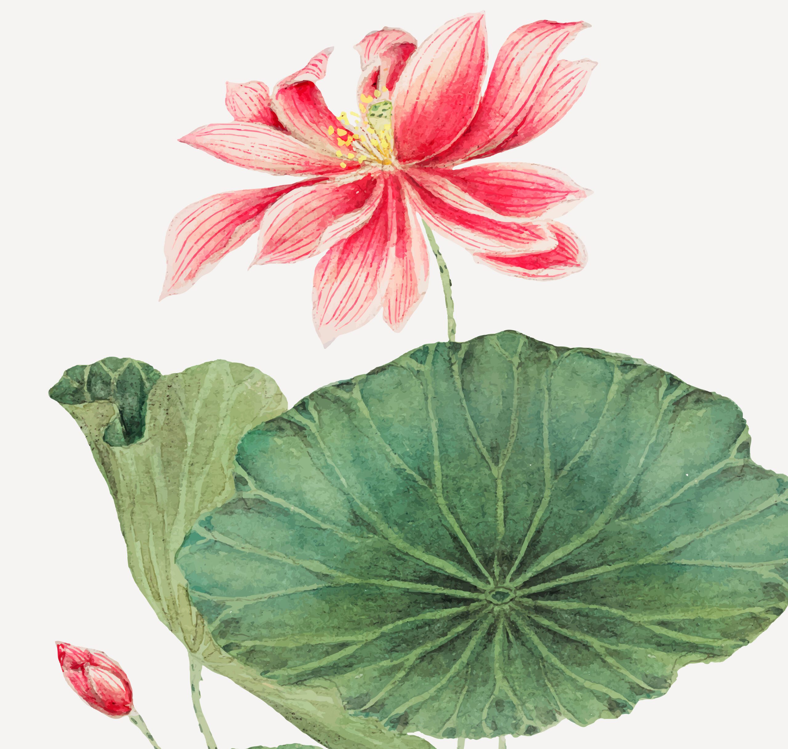 EMDR therapy Dialectical Behavior Therapy (DBT)